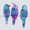 3littlebirdss